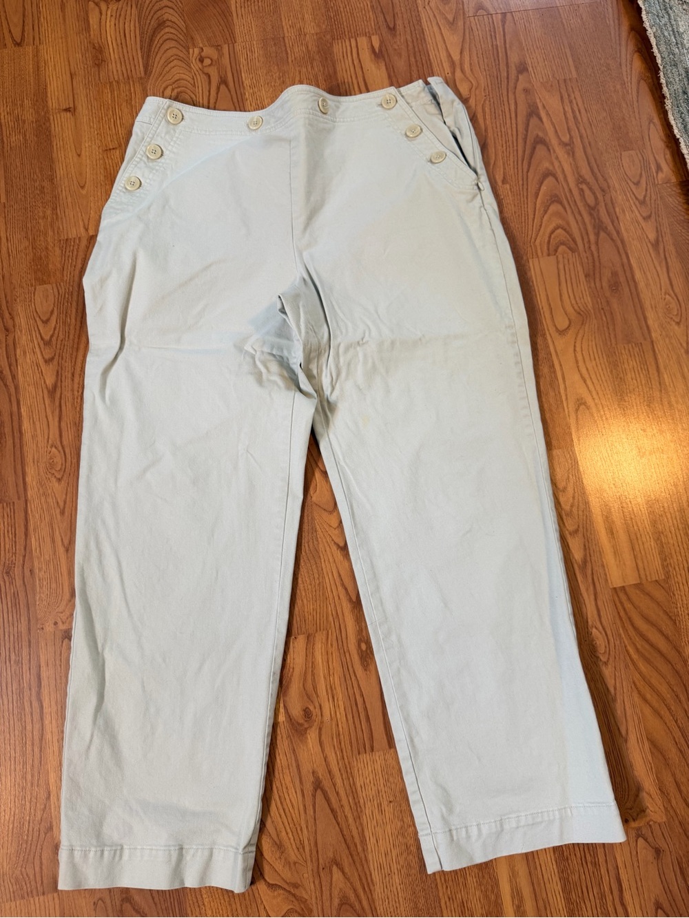 Talbots womens  Casual Button-Front Pants